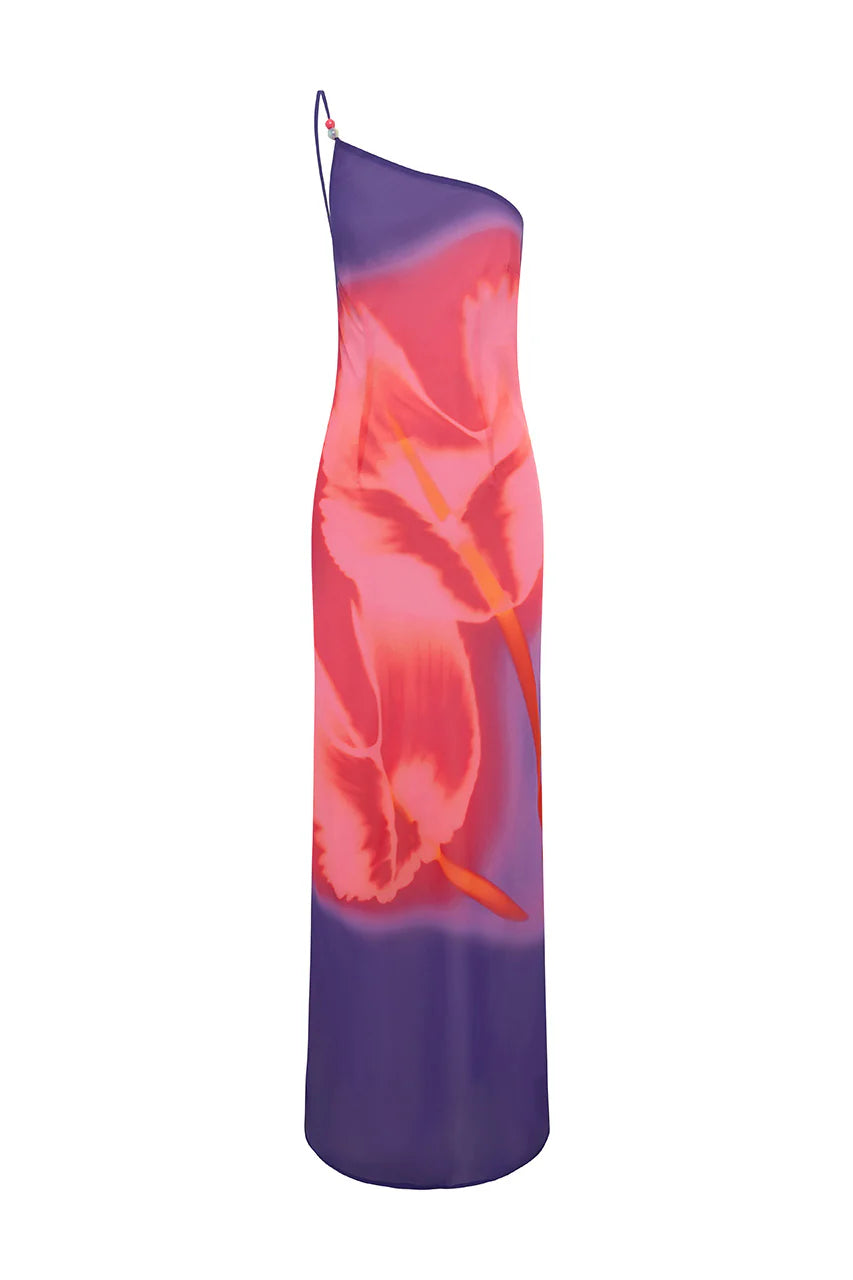 Sondrey Maxi Dress - Casanova Print