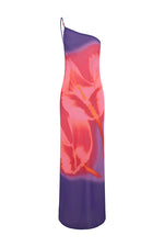 Load image into Gallery viewer, Sondrey Maxi Dress - Casanova Print
