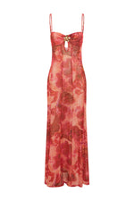 Load image into Gallery viewer, Tisha Sheer Maxi Dress - Moana Pink
