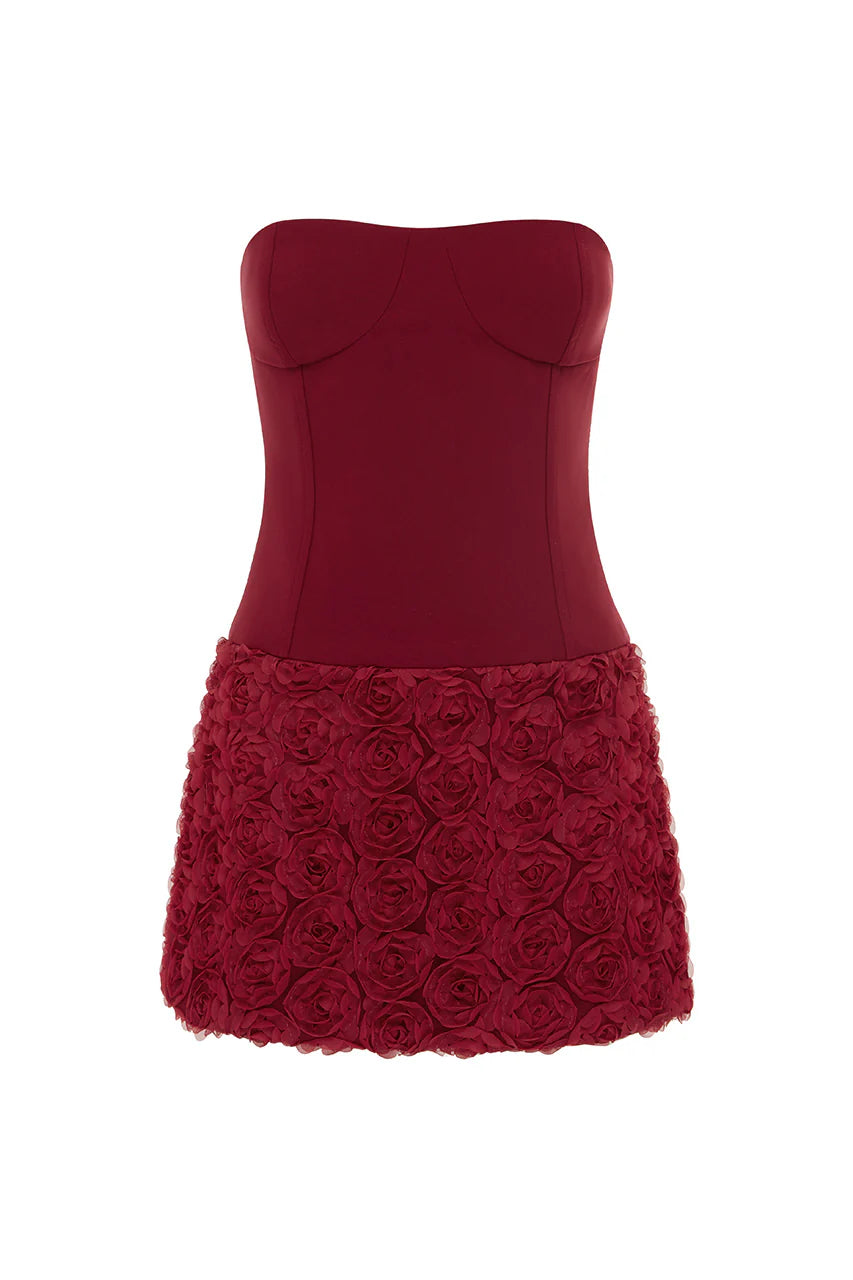 Riana Mini Dress - Cherry