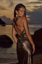 Load image into Gallery viewer, Cavani Maxi Dress - Gold
