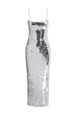 Load image into Gallery viewer, Vesina Midi Dress - Silver
