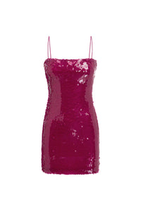 Vesina Mini Dress - Berry