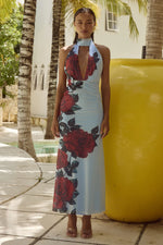 Load image into Gallery viewer, Antonie Maxie Dress - Red Rose
