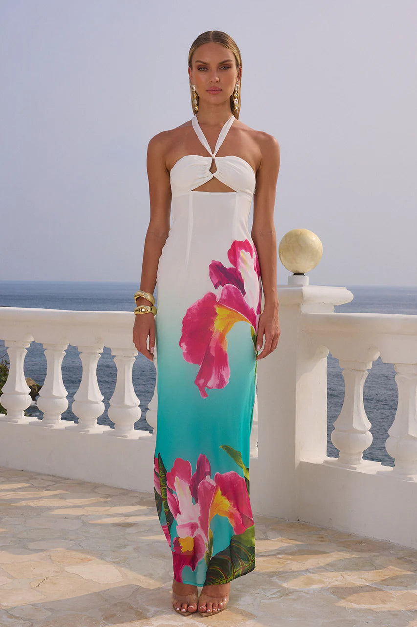 Stefina Maxi Dress - Nalani Print