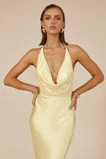 Load image into Gallery viewer, Posey Maxi Dress - Yellow
