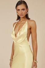 Load image into Gallery viewer, Posey Maxi Dress - Yellow
