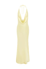 Load image into Gallery viewer, Posey Maxi Dress - Yellow
