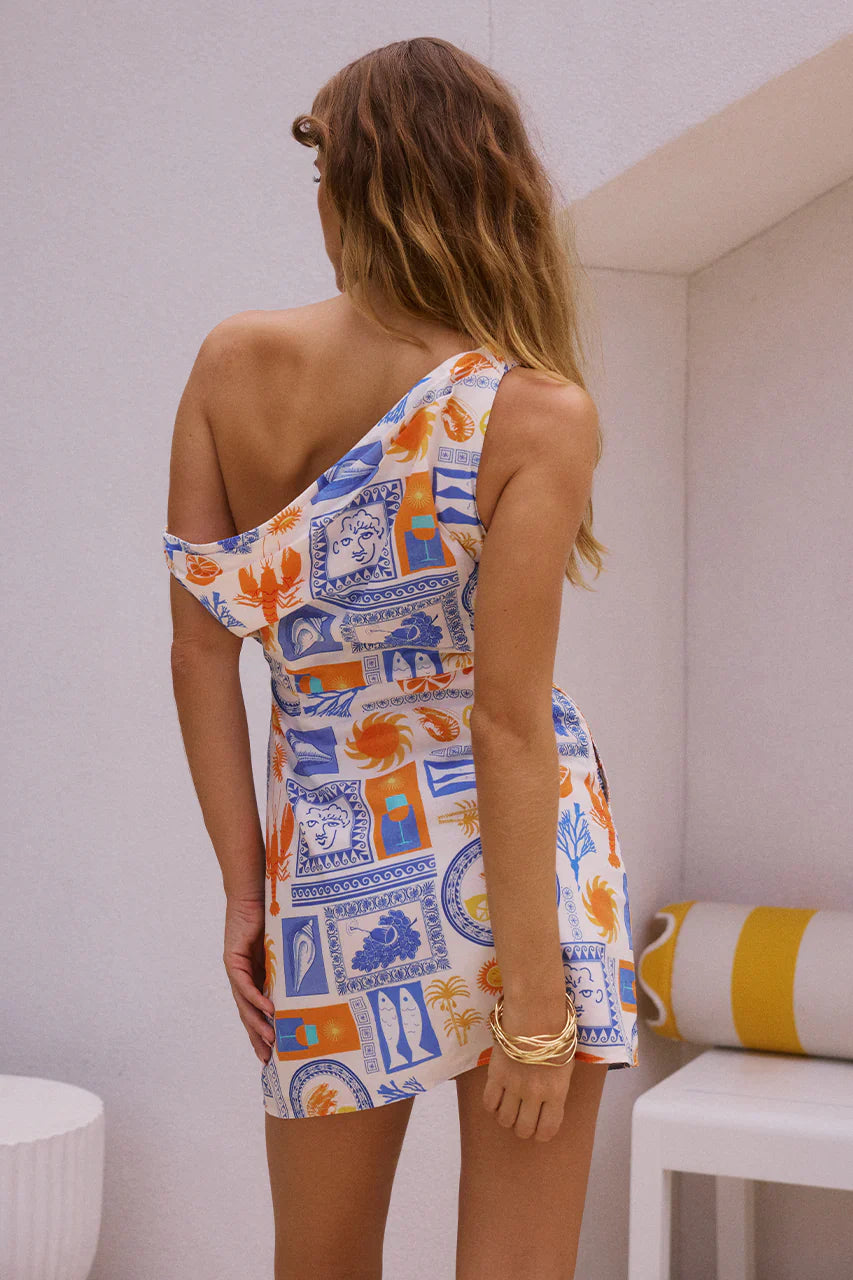 Caterina Mini Dress - Caterina Print – The Society